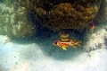 St Anna Marine Park
