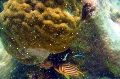 St Anna Marine Park