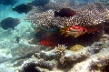 St Anna Marine Park
