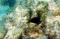 St Anna Marine Park