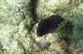 St Anna Marine Park