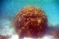 St Anna Marine Park